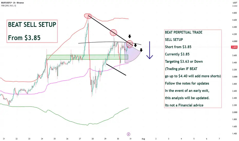 BEAT PERPETUAL TRADE--Salahuddin2004