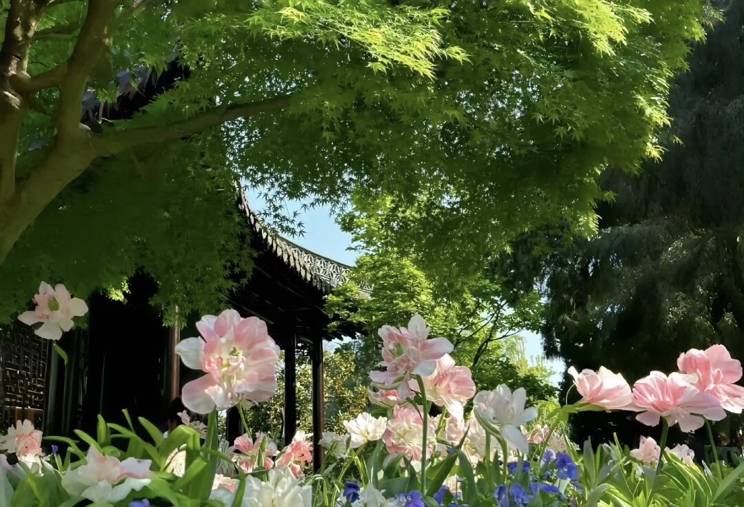 交易心得｜小资金真正翻身的底层逻辑--锦晨-趋势猎手